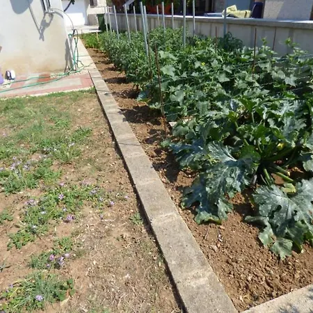 Branko Apartament