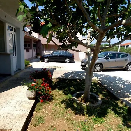 Apartament Branko *