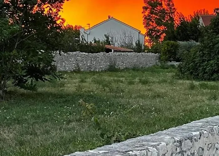 Branko Daire *