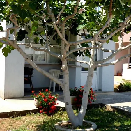 Branko Apartment